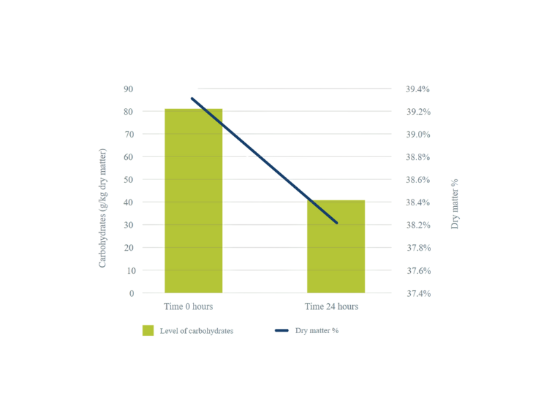 Abbildung 2. Einfluss der mikrobiellen Fermentation in TMR auf die Trockenmasse und den Zuckergehalt in TMR innerhalb von 24 Stunden nach der Herstellung – Selko-Studie 2010