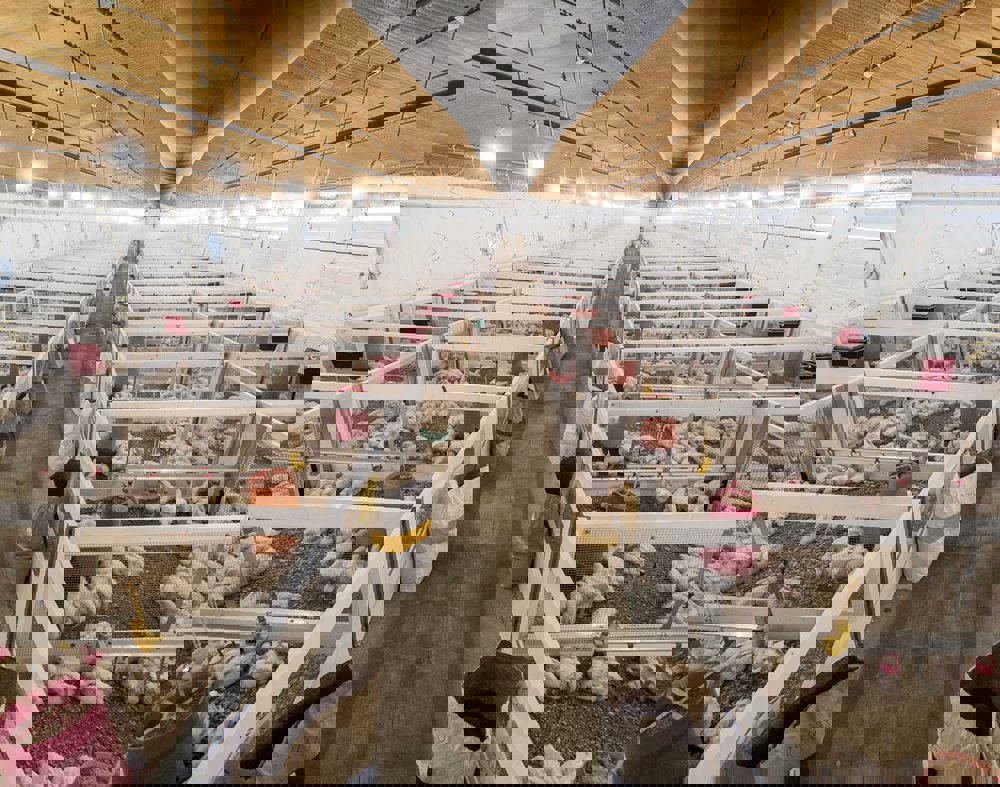 Poultry Research Centre