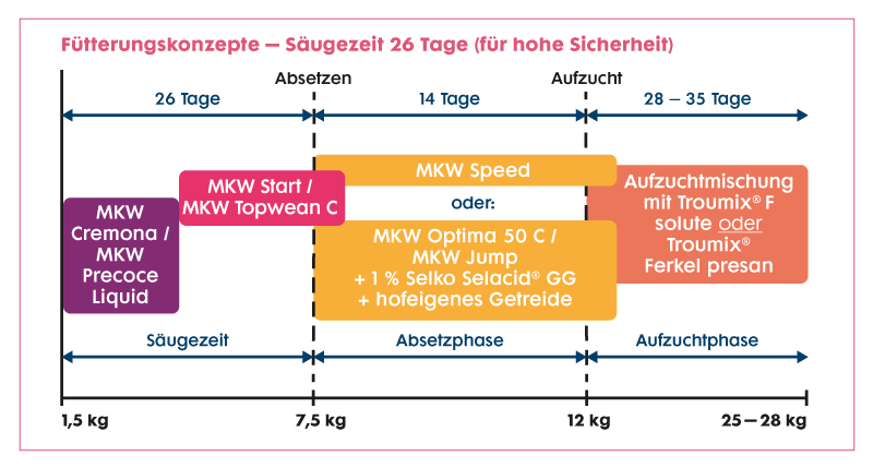 MKW-Konzepte-web-03.png