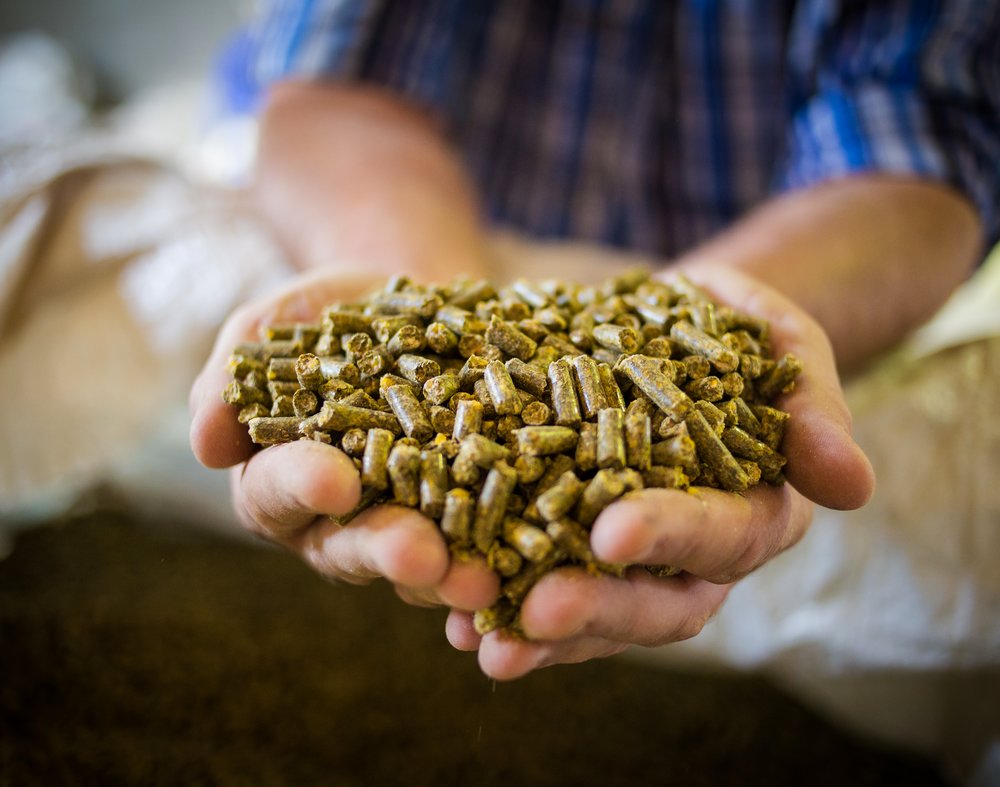 Enhancing feed hygiene for layers