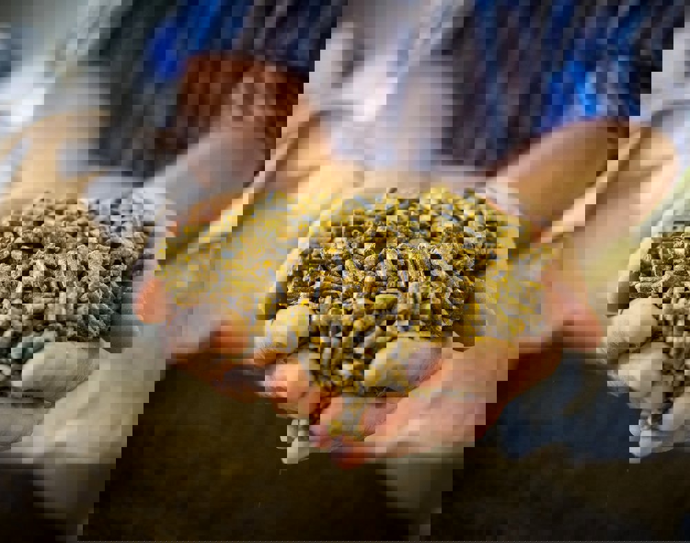 Enhancing feed hygiene for layers