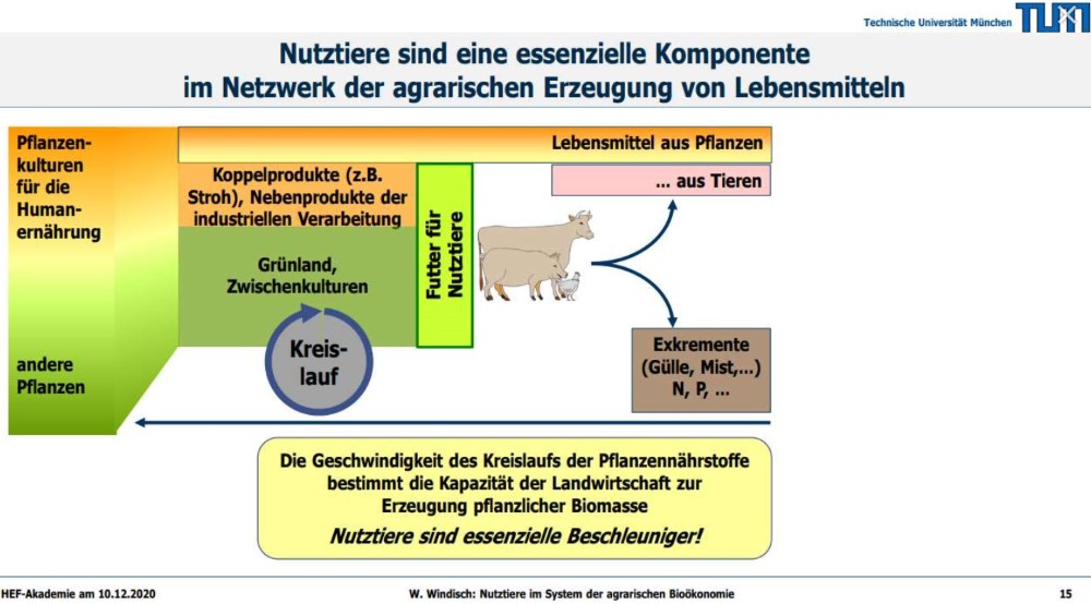 Grafik_Prof_Windisch_TUM.jpg