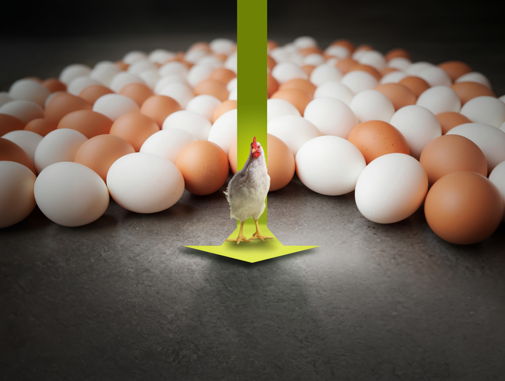 Dieses Programm ist ein umfassendes Angebot an ernährungsbezogenen Lösungen, die darauf ausgerichtet sind, Tiere von der Aufzucht bis in die späte Produktionsphase zu begleiten und die Einordnung des CO₂-Fußabdrucks je kg Ei zu unterstützen.